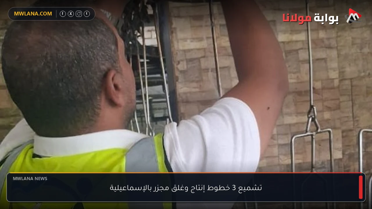 تشميع 3 خطوط إنتاج وغلق مجزر بالإسماعيلية
