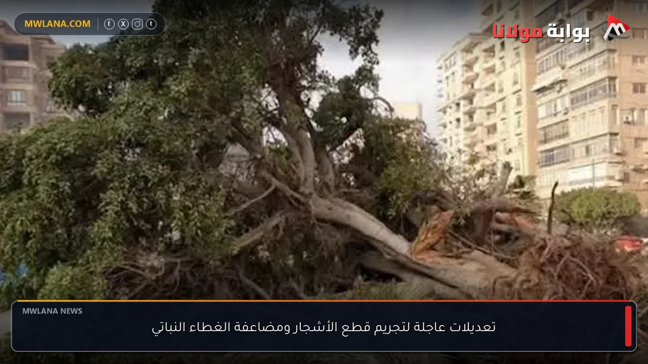 تعديلات عاجلة لتجريم قطع الأشجار ومضاعفة الغطاء النباتي