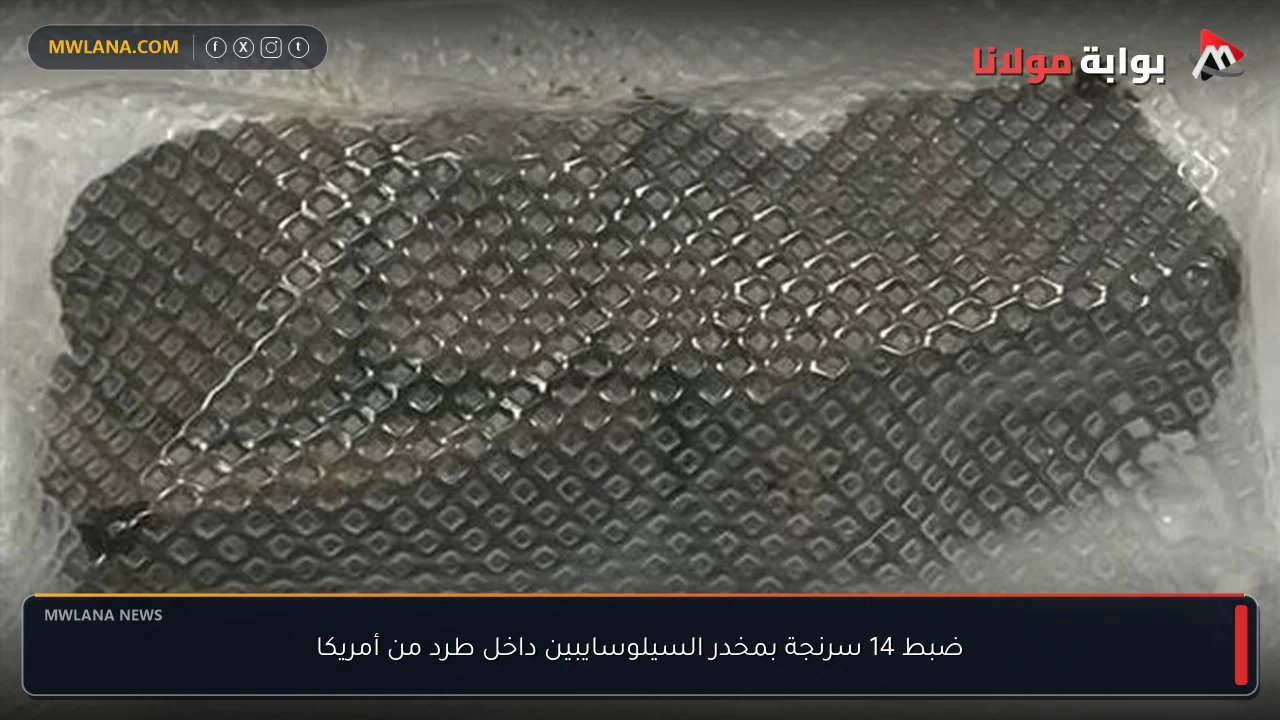 ضبط 14 سرنجة بمخدر السيلوسايبين داخل طرد من أمريكا