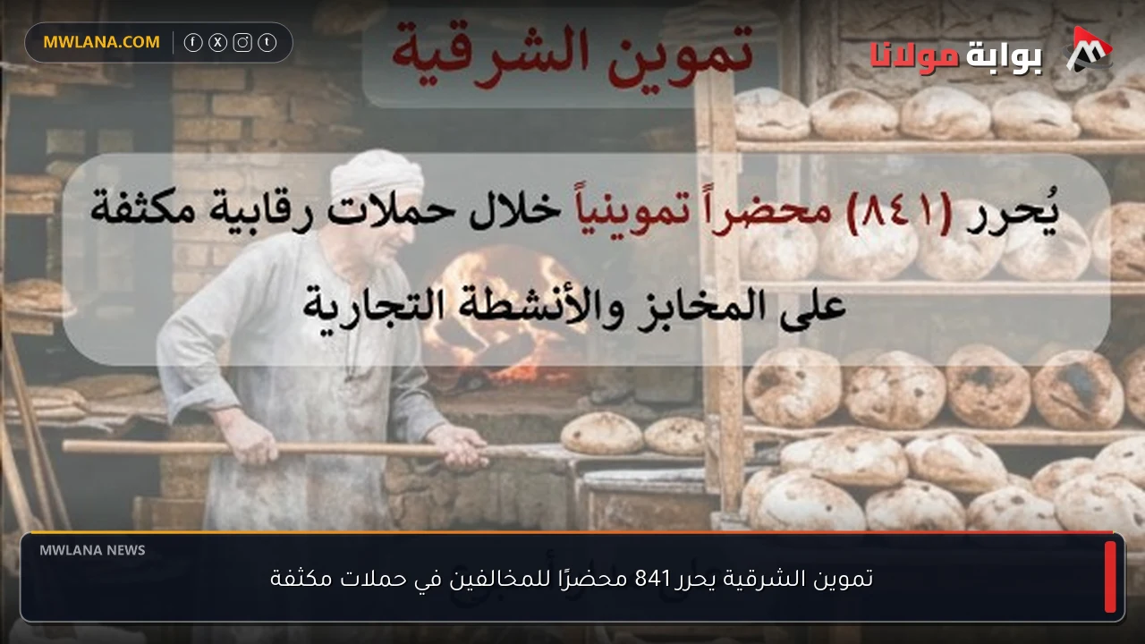 تموين الشرقية يحرر 841 محضرًا للمخالفين في حملات مكثفة