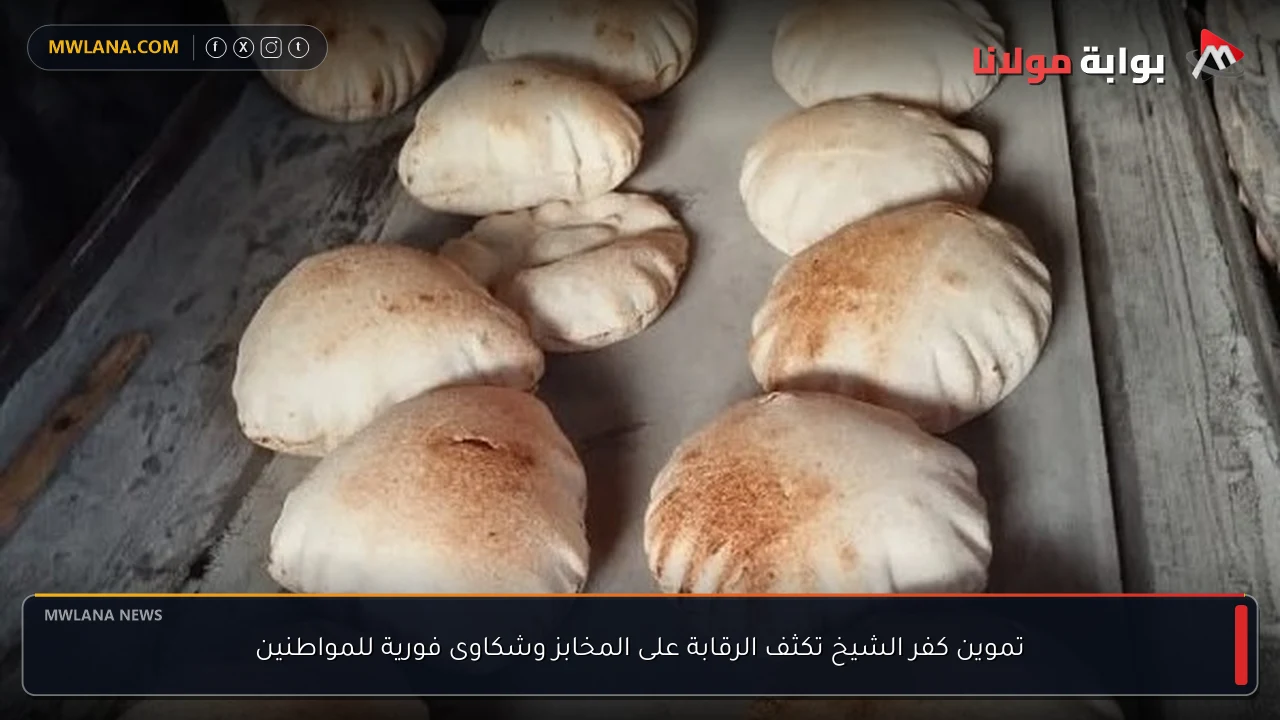 تموين كفر الشيخ تكثف الرقابة على المخابز وشكاوى فورية للمواطنين