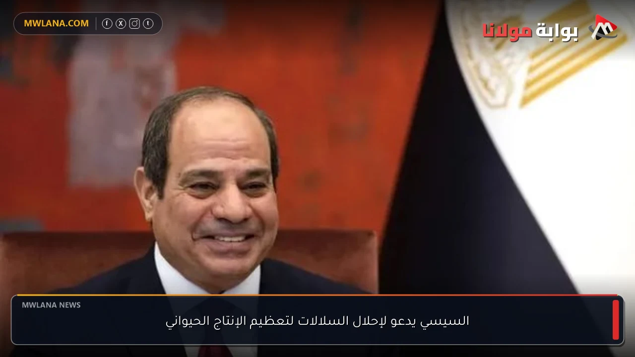 السيسي يدعو لإحلال السلالات لتعظيم الإنتاج الحيواني