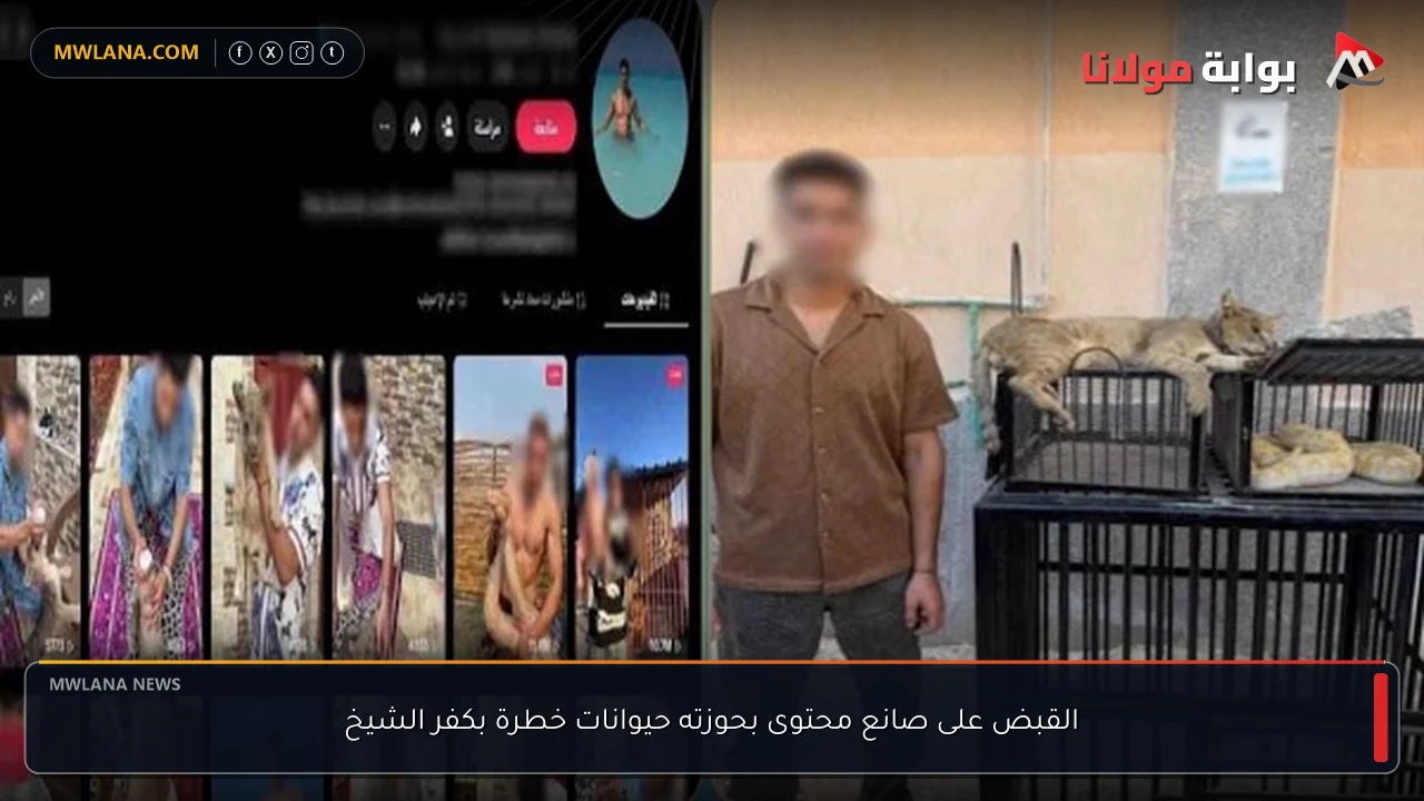 القبض على صانع محتوى بحوزته حيوانات خطرة بكفر الشيخ