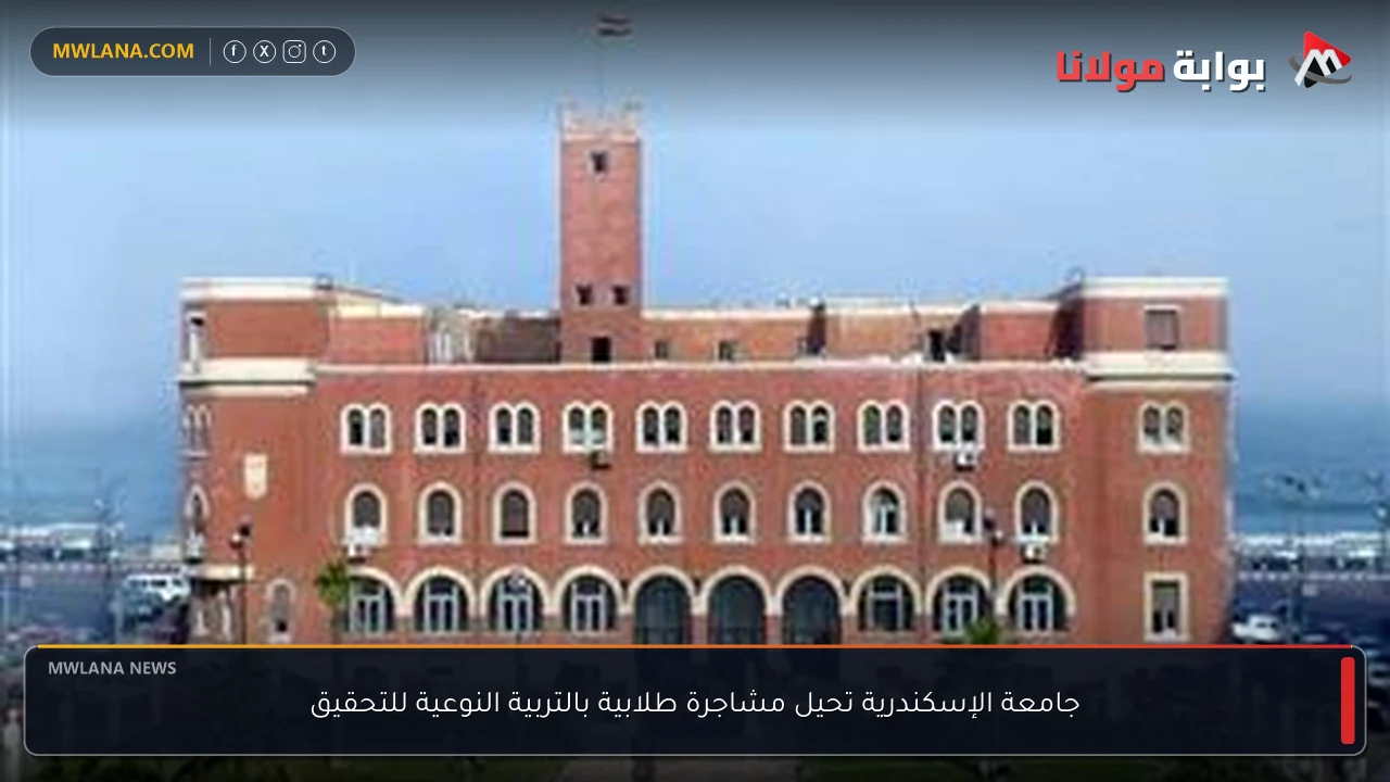 جامعة الإسكندرية تحيل مشاجرة طلابية بالتربية النوعية للتحقيق