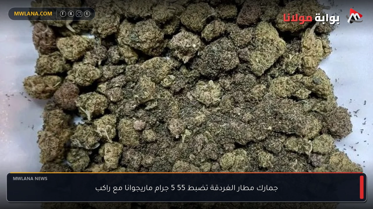 جمارك مطار الغردقة تضبط 55 5 جرام ماريجوانا مع راكب