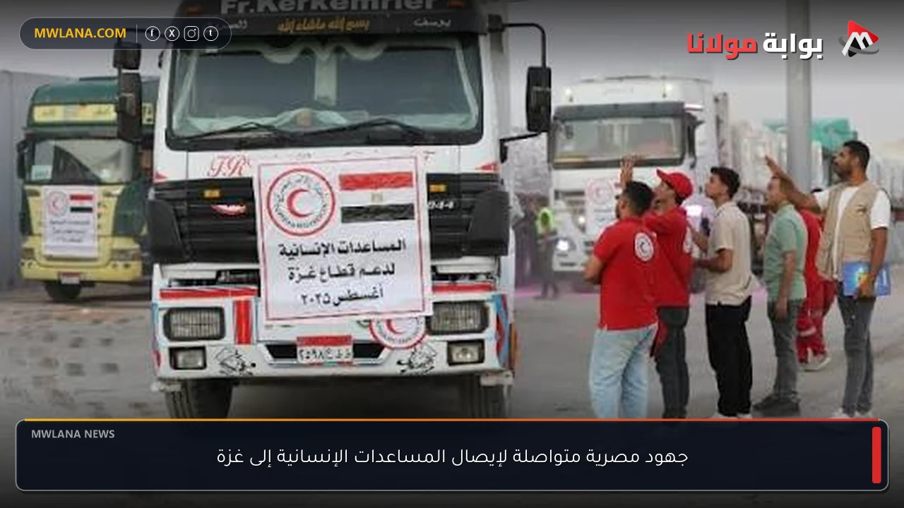 جهود مصرية متواصلة لإيصال المساعدات الإنسانية إلى غزة