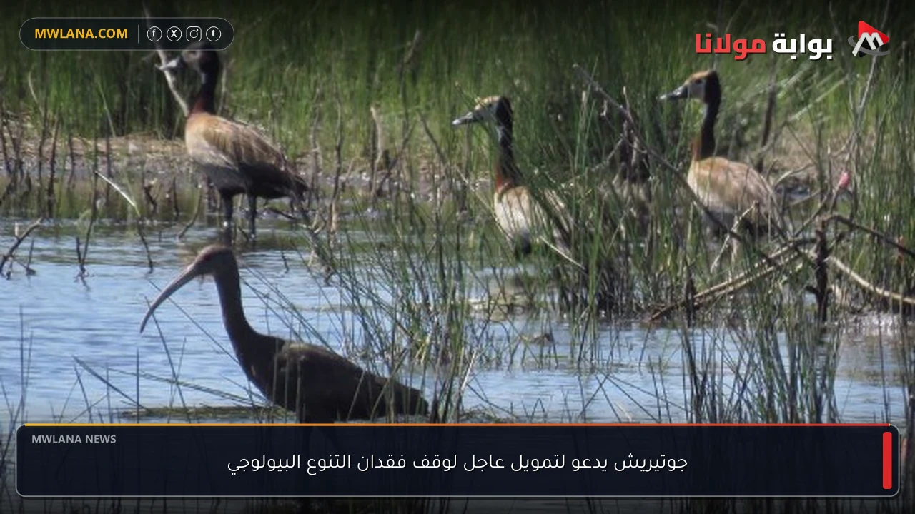 جوتيريش يدعو لتمويل عاجل لوقف فقدان التنوع البيولوجي