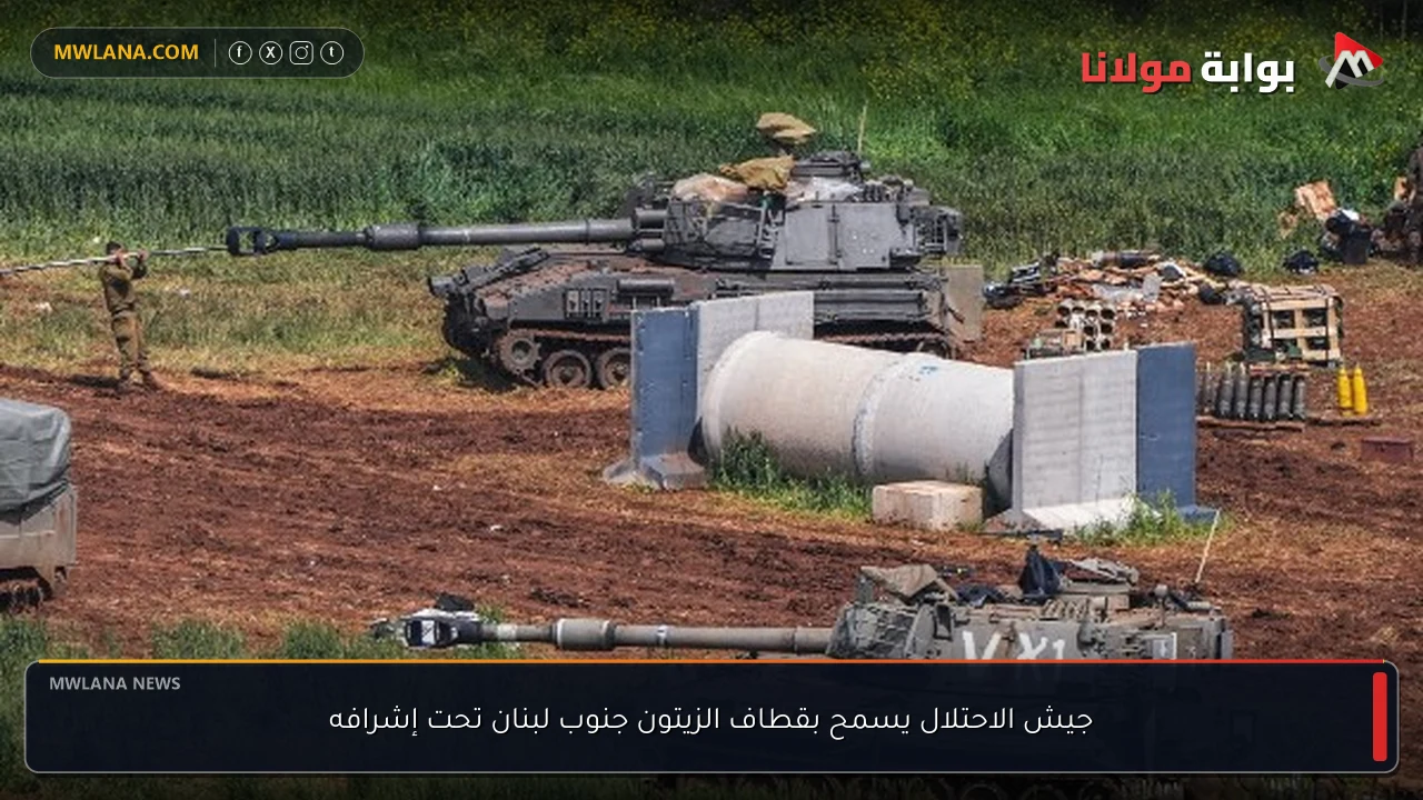 جيش الاحتلال يسمح بقطاف الزيتون جنوب لبنان تحت إشرافه