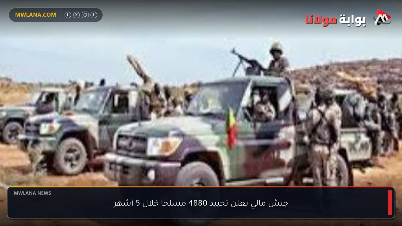 جيش مالي يعلن تحييد 4880 مسلحا خلال 5 أشهر