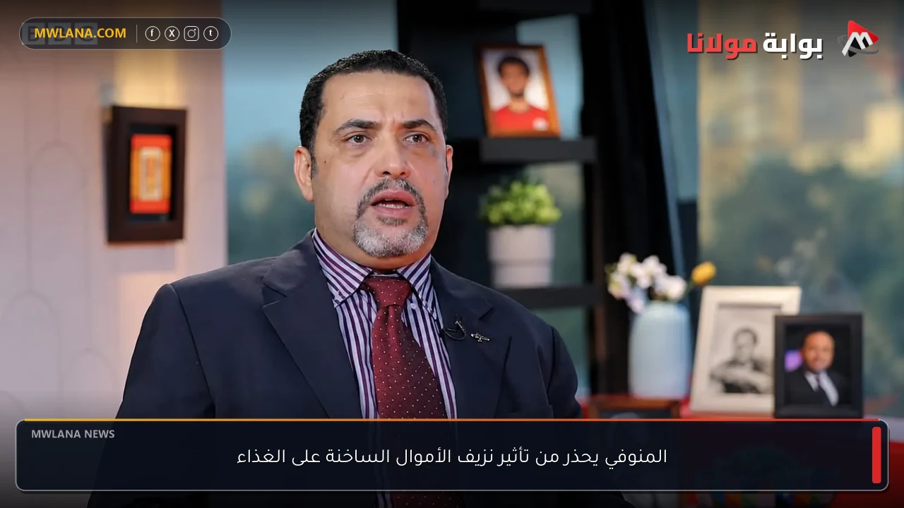 المنوفي يحذر من تأثير نزيف الأموال الساخنة على الغذاء