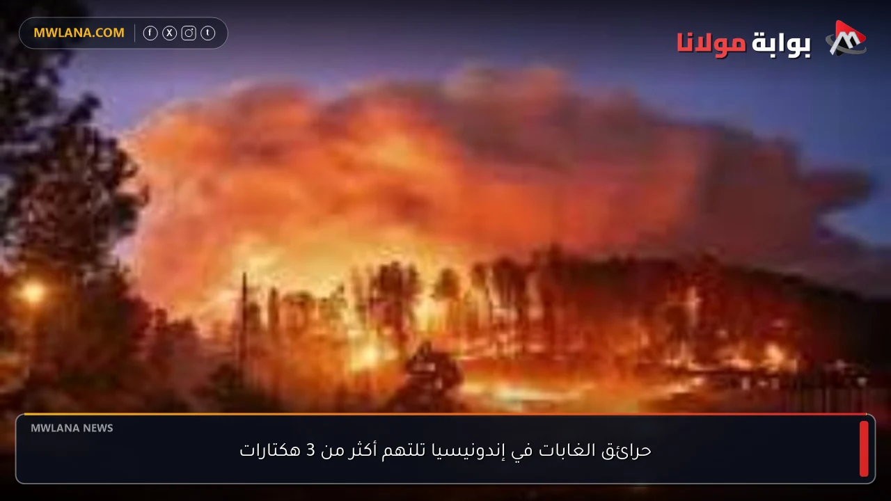 حرائق الغابات في إندونيسيا تلتهم أكثر من 3 هكتارات