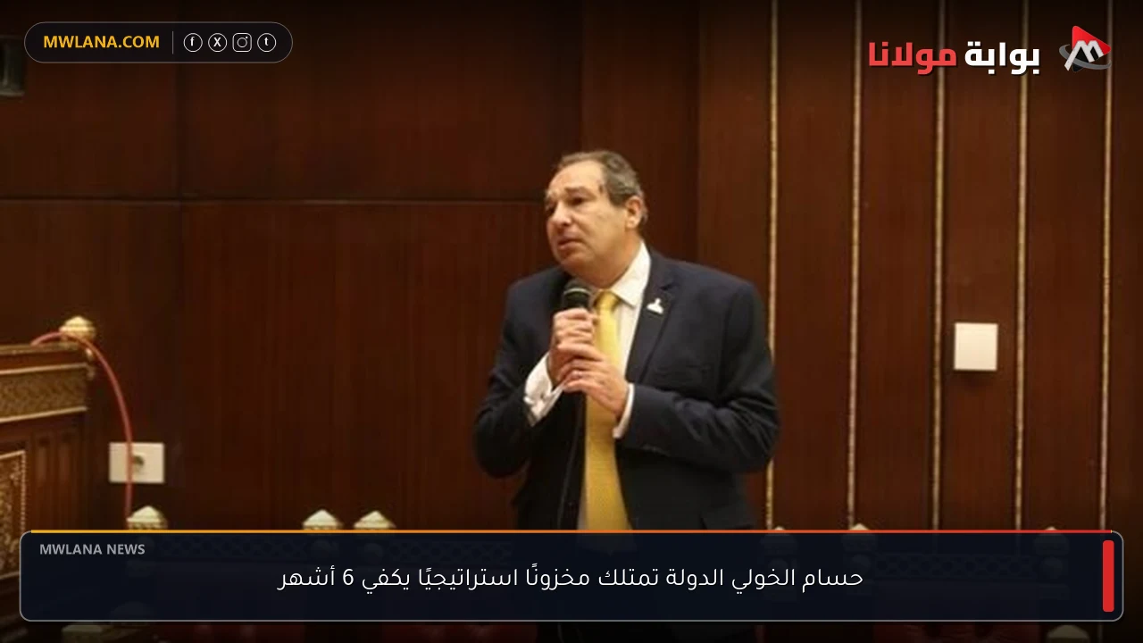 حسام الخولي الدولة تمتلك مخزونًا استراتيجيًا يكفي 6 أشهر