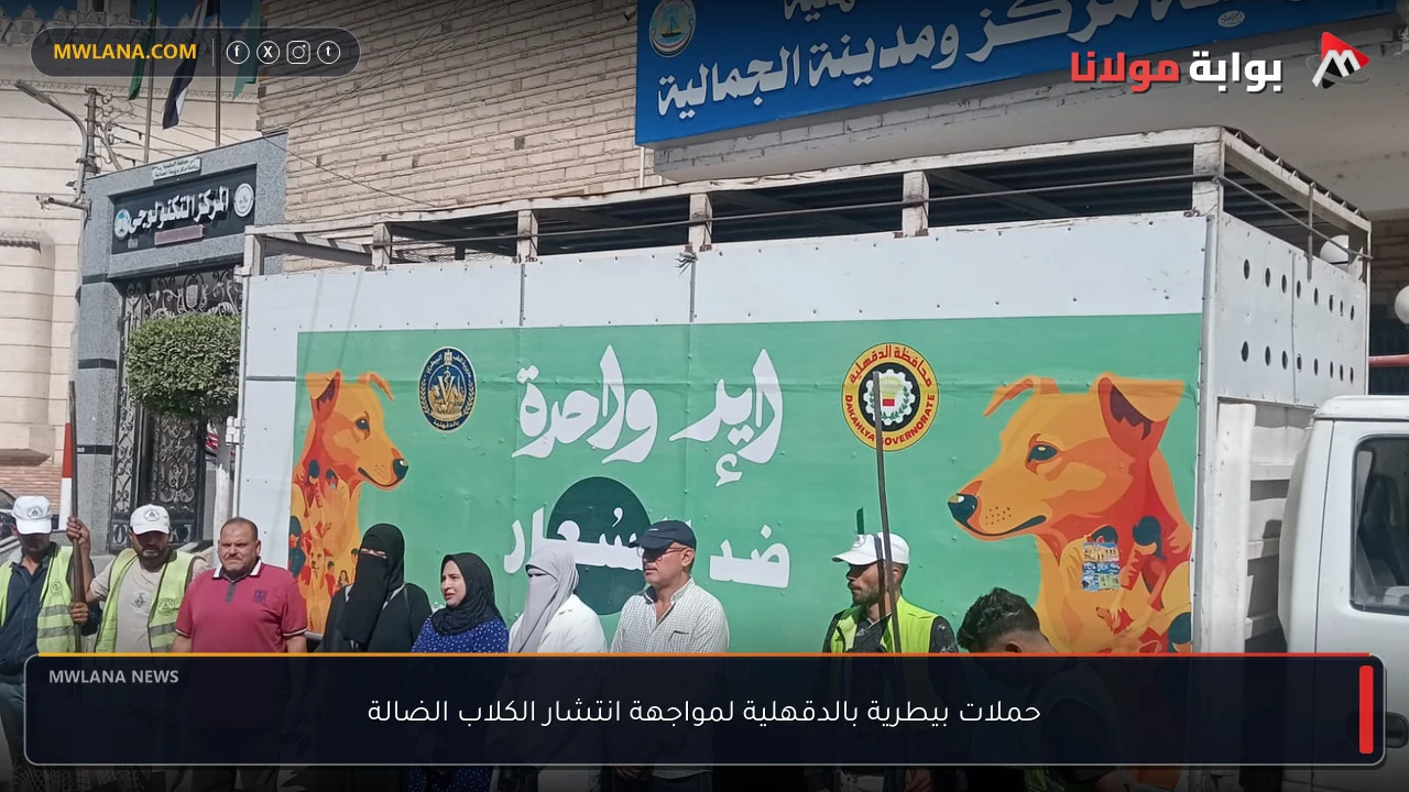 حملات بيطرية بالدقهلية لمواجهة انتشار الكلاب الضالة