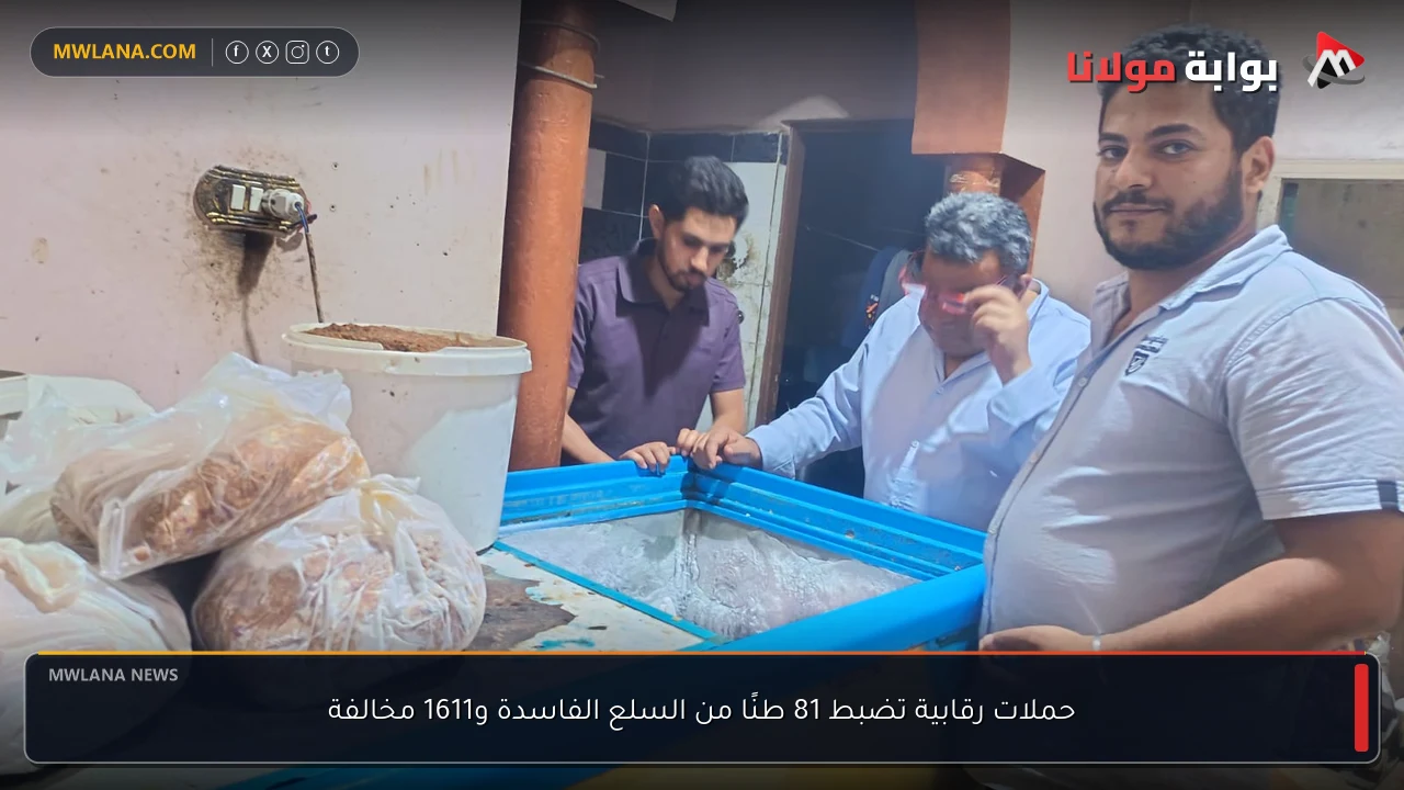 حملات رقابية تضبط 81 طنًا من السلع الفاسدة و1611 مخالفة