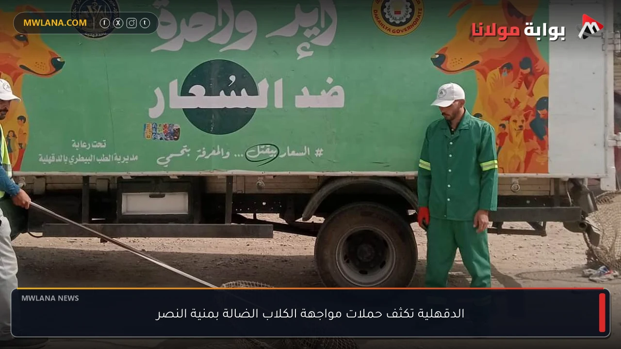 الدقهلية تكثف حملات مواجهة الكلاب الضالة بمنية النصر