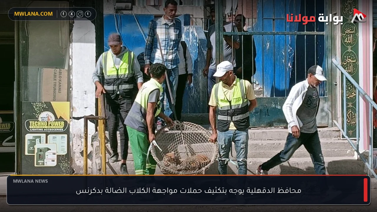 محافظ الدقهلية يوجه بتكثيف حملات مواجهة الكلاب الضالة بدكرنس