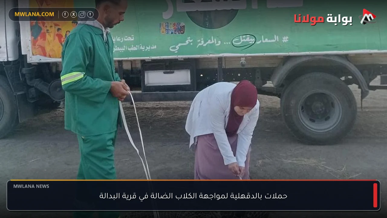 حملات بالدقهلية لمواجهة الكلاب الضالة في قرية البدالة