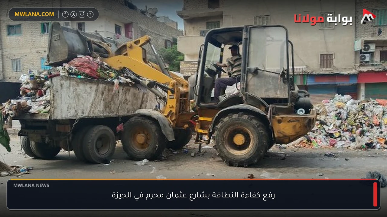 رفع كفاءة النظافة بشارع عثمان محرم في الجيزة