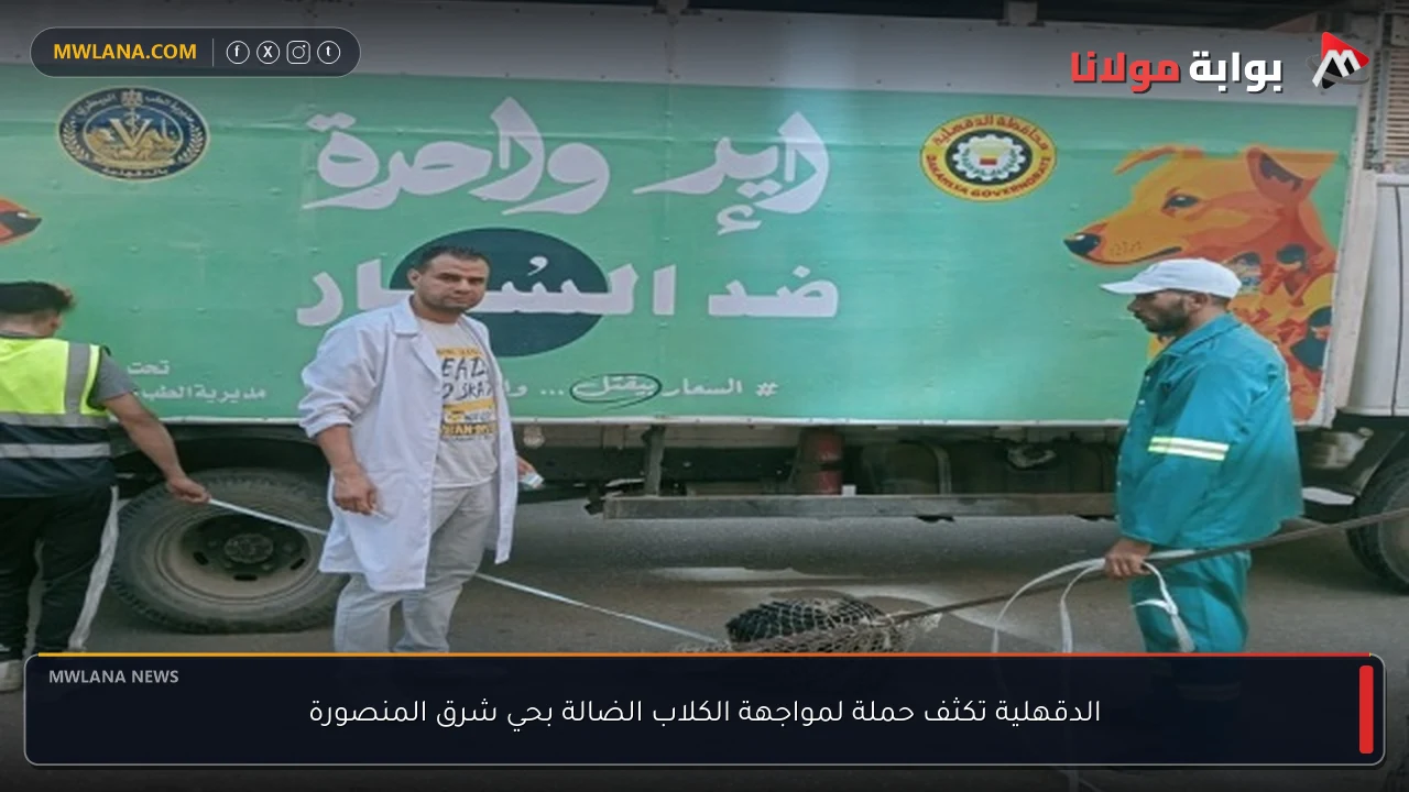 الدقهلية تكثف حملة لمواجهة الكلاب الضالة بحي شرق المنصورة