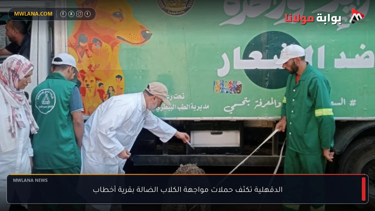الدقهلية تكثف حملات مواجهة الكلاب الضالة بقرية أخطاب