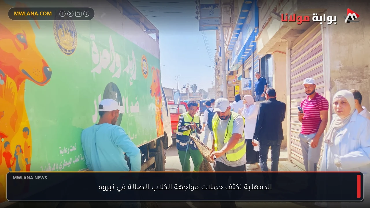 الدقهلية تكثف حملات مواجهة الكلاب الضالة في نبروه