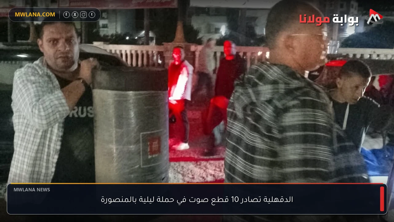 الدقهلية تصادر 10 قطع صوت في حملة ليلية بالمنصورة