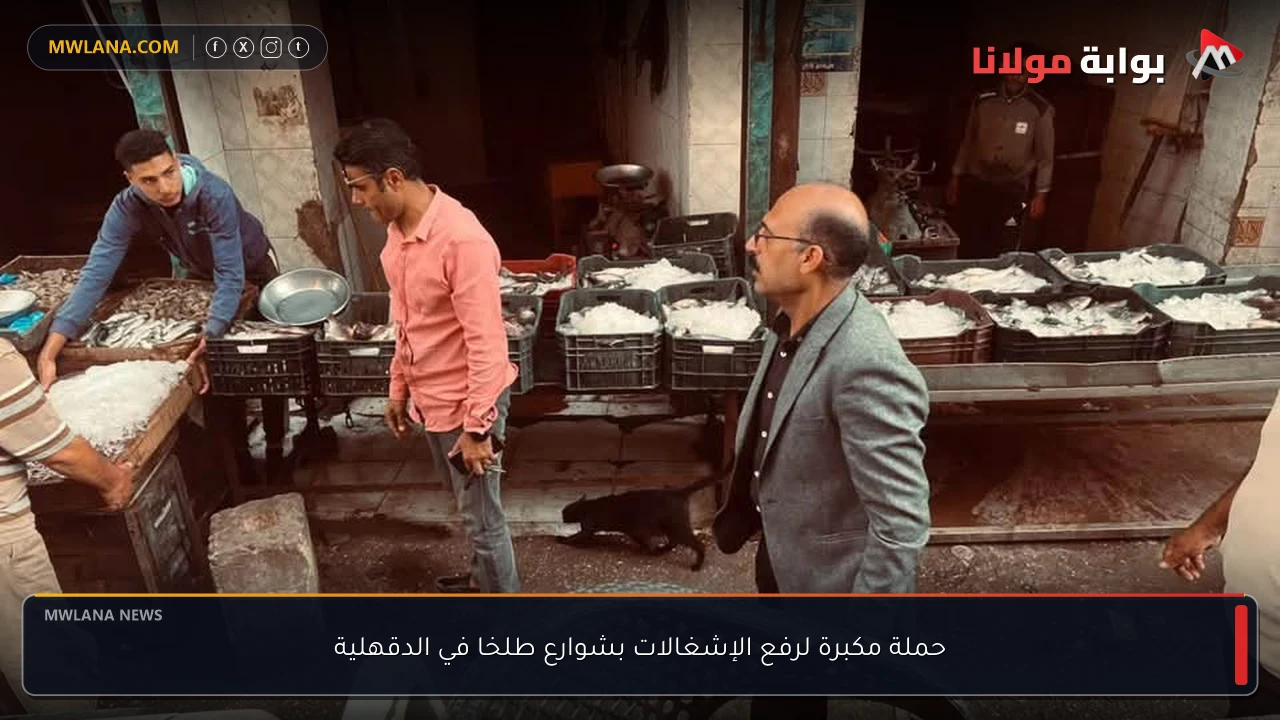 حملة مكبرة لرفع الإشغالات بشوارع طلخا في الدقهلية