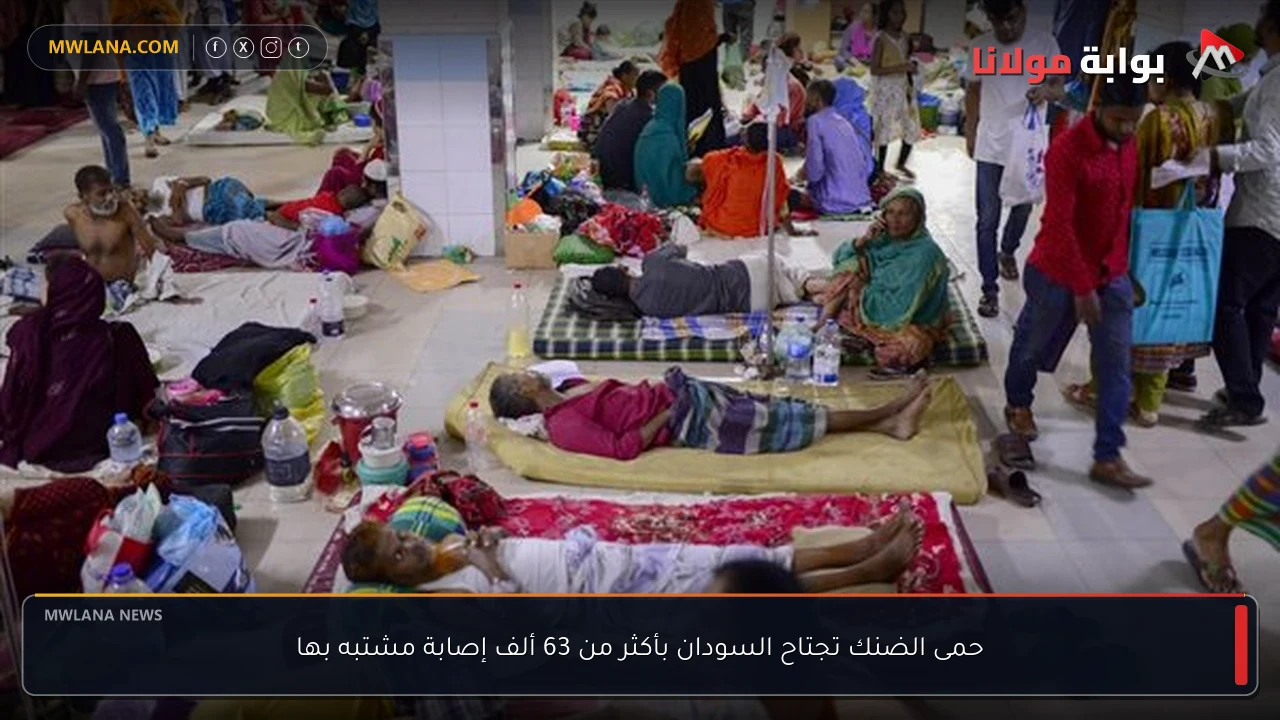 حمى الضنك تجتاح السودان بأكثر من 63 ألف إصابة مشتبه بها