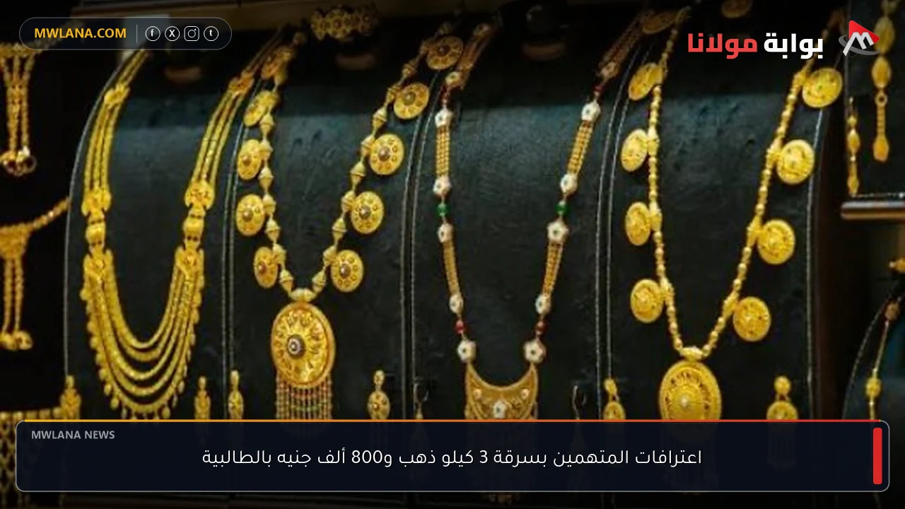 اعترافات المتهمين بسرقة 3 كيلو ذهب و800 ألف جنيه بالطالبية