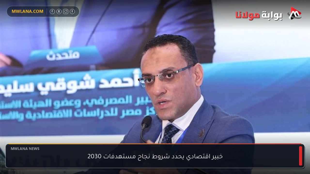 خبير اقتصادي يحدد شروط نجاح مستهدفات 2030