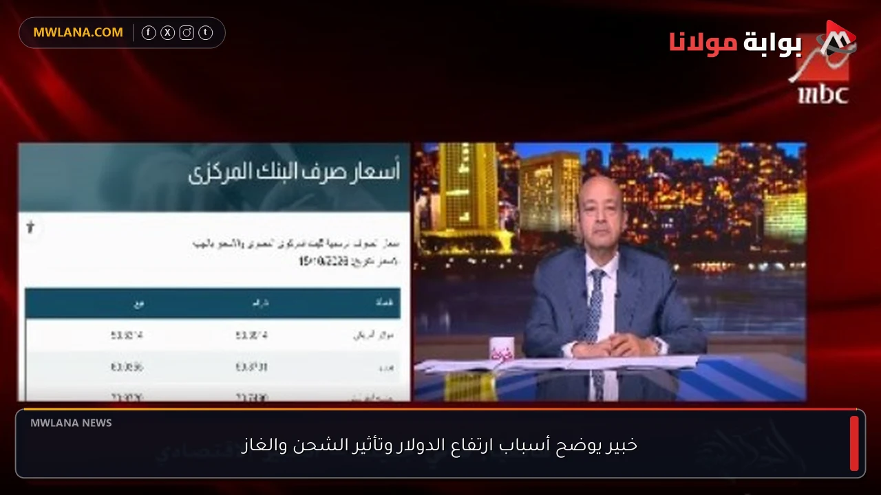 خبير يوضح أسباب ارتفاع الدولار وتأثير الشحن والغاز