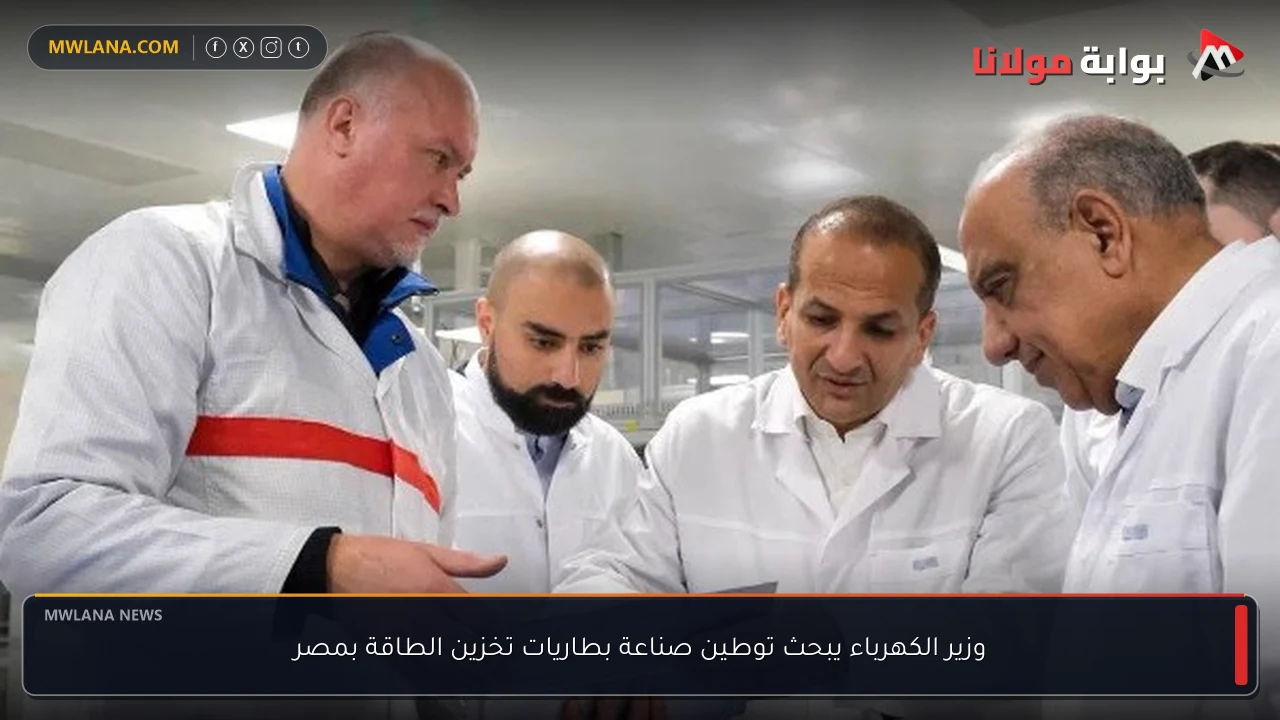 وزير الكهرباء يبحث توطين صناعة بطاريات تخزين الطاقة بمصر