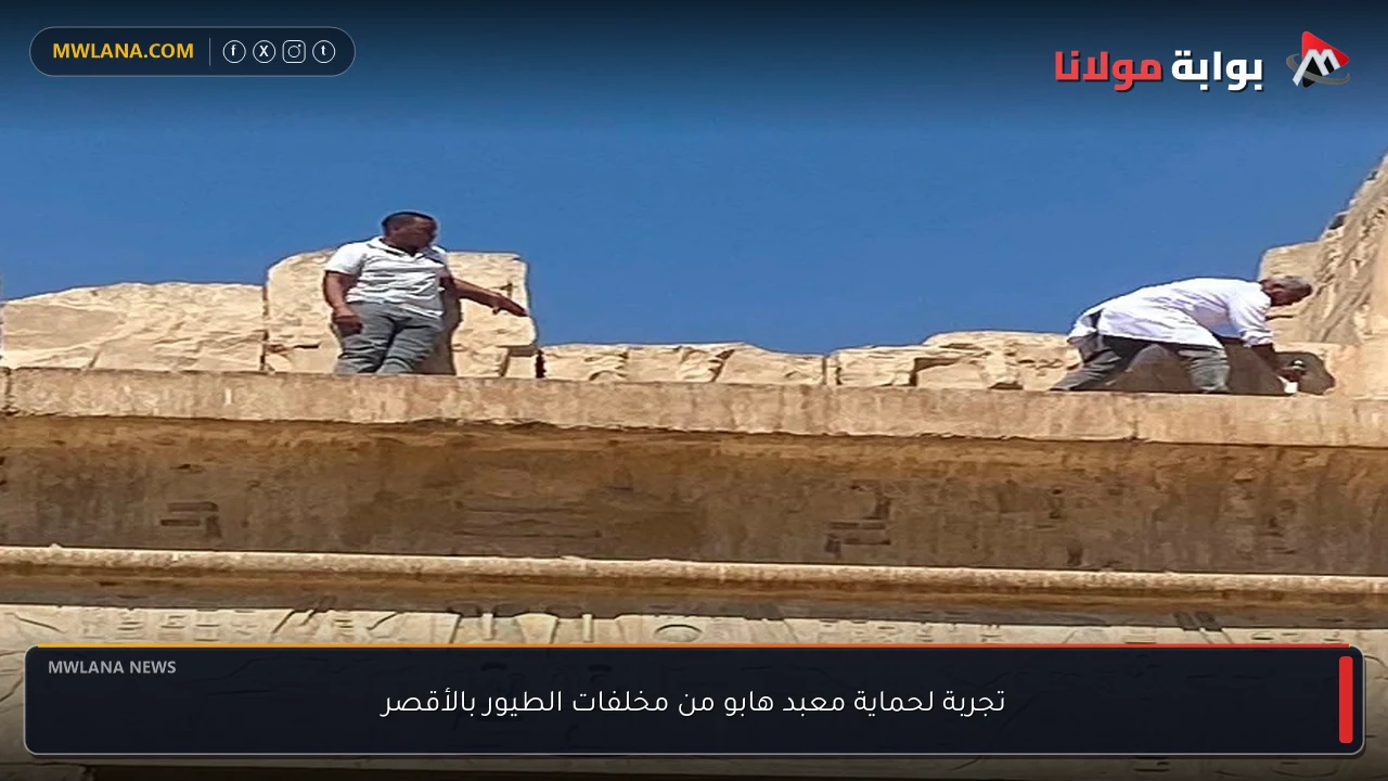 تجربة لحماية معبد هابو من مخلفات الطيور بالأقصر