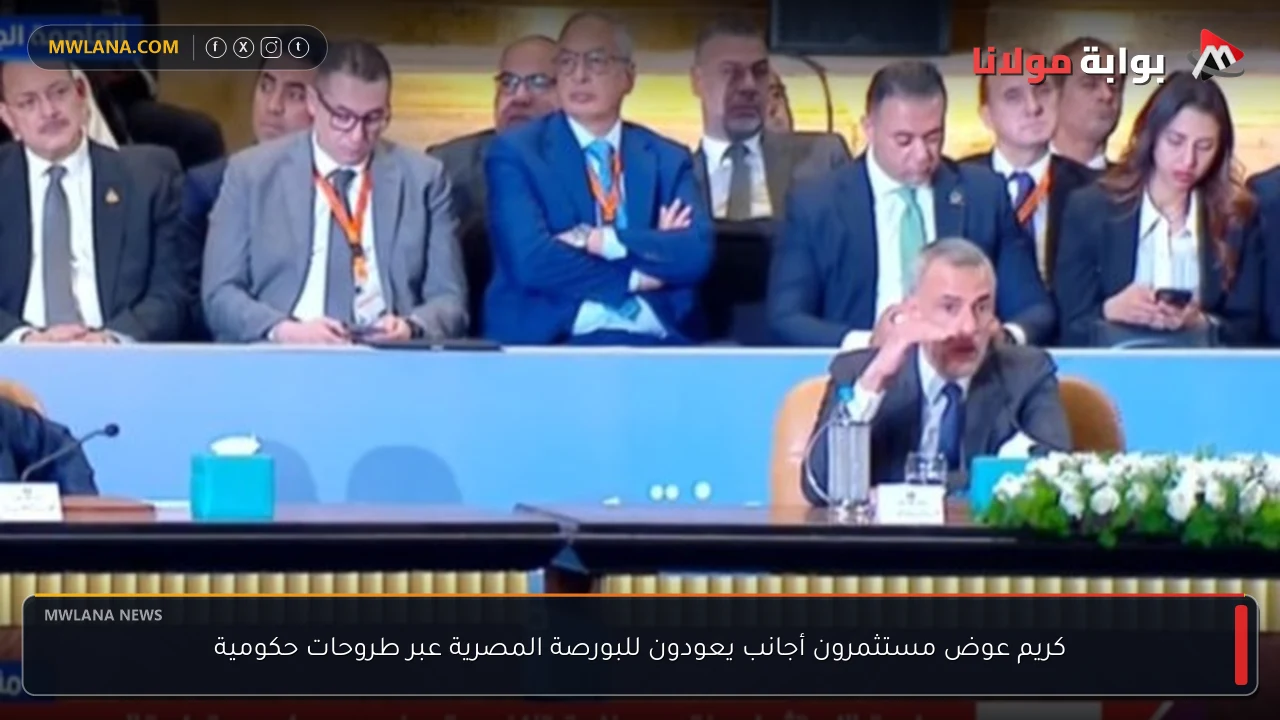 كريم عوض مستثمرون أجانب يعودون للبورصة المصرية عبر طروحات حكومية