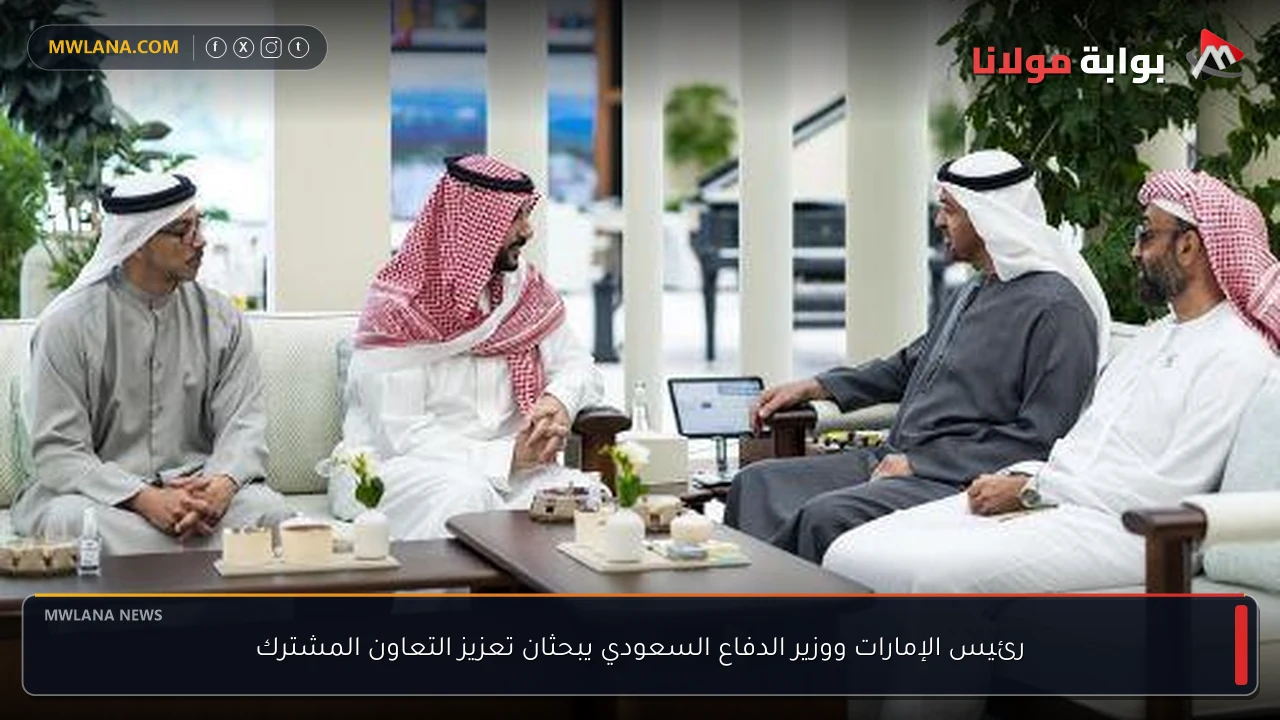 رئيس الإمارات ووزير الدفاع السعودي يبحثان تعزيز التعاون المشترك