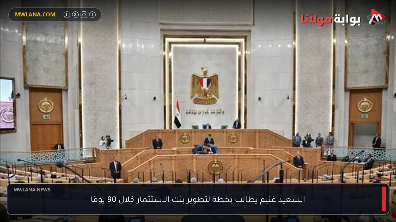 السعيد غنيم يطالب بخطة لتطوير بنك الاستثمار خلال 90 يومًا