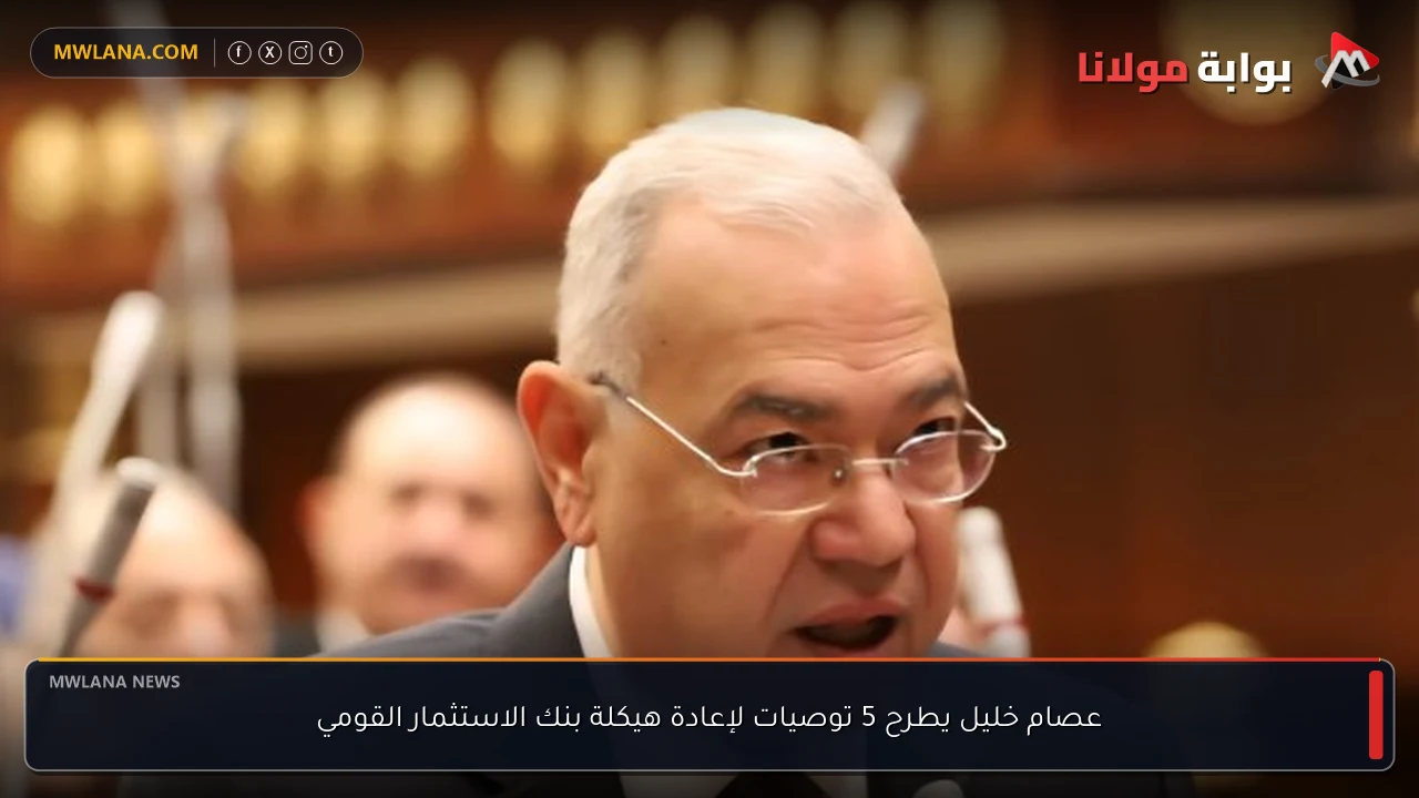 عصام خليل يطرح 5 توصيات لإعادة هيكلة بنك الاستثمار القومي