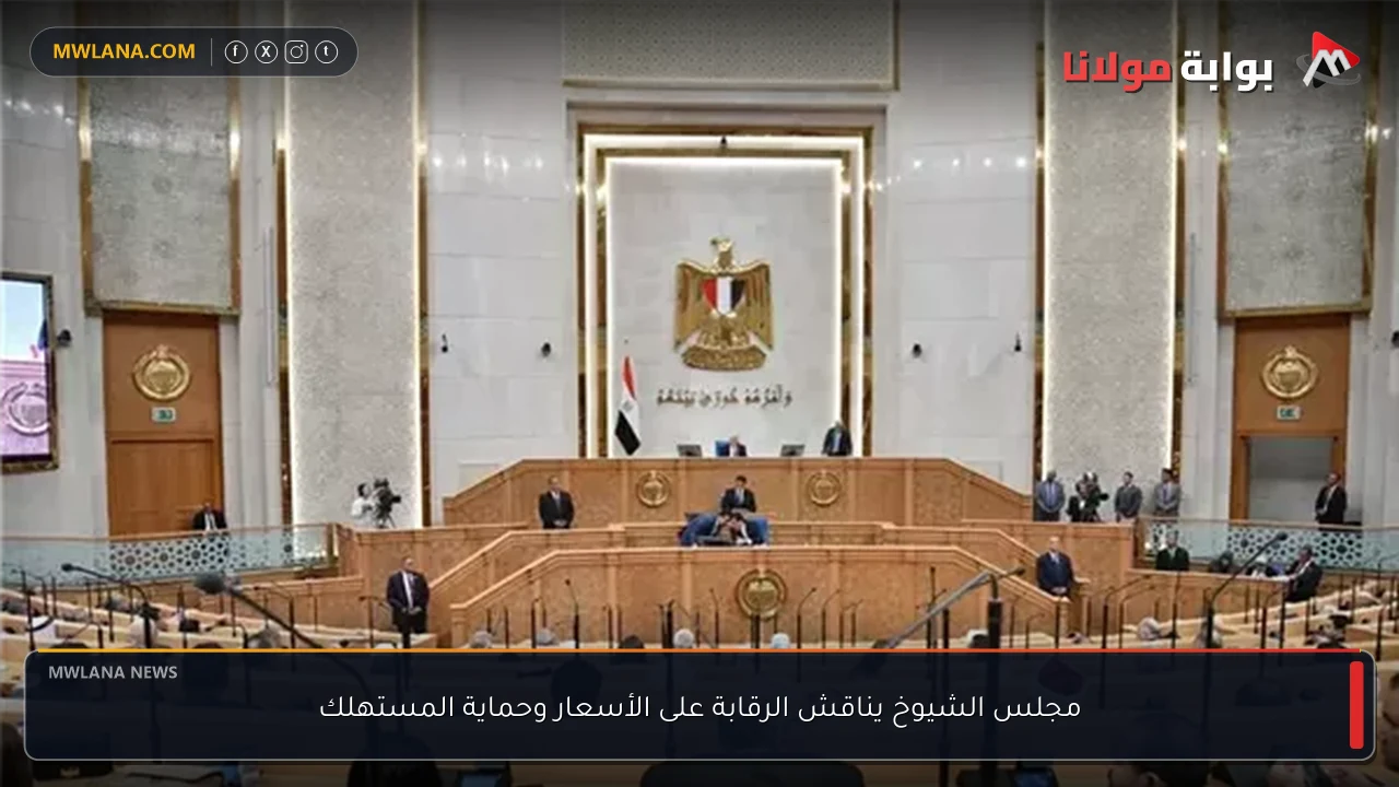 مجلس الشيوخ يناقش الرقابة على الأسعار وحماية المستهلك