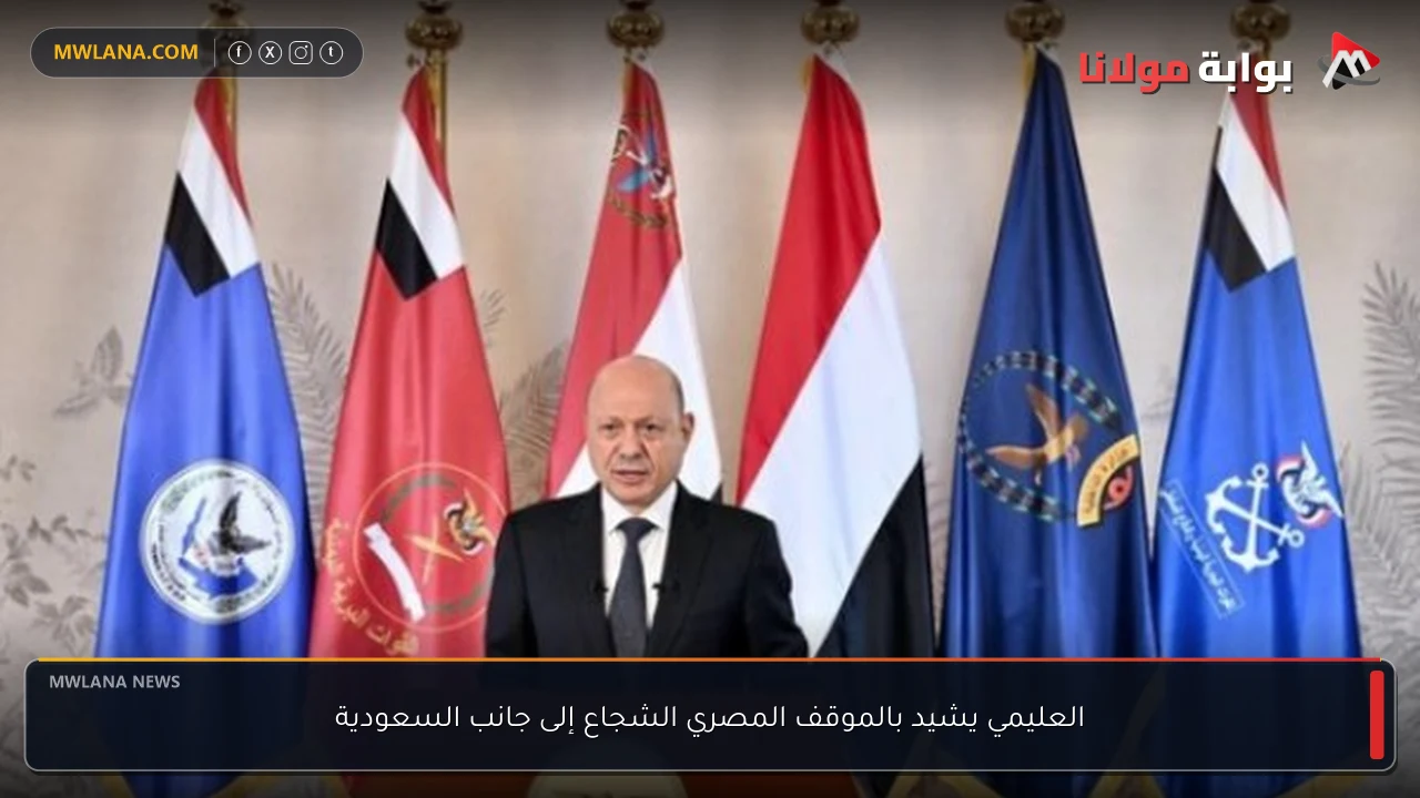 العليمي يشيد بالموقف المصري الشجاع إلى جانب السعودية