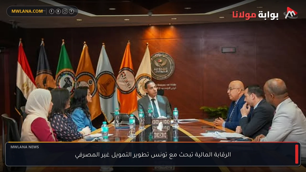 الرقابة المالية تبحث مع تونس تطوير التمويل غير المصرفي
