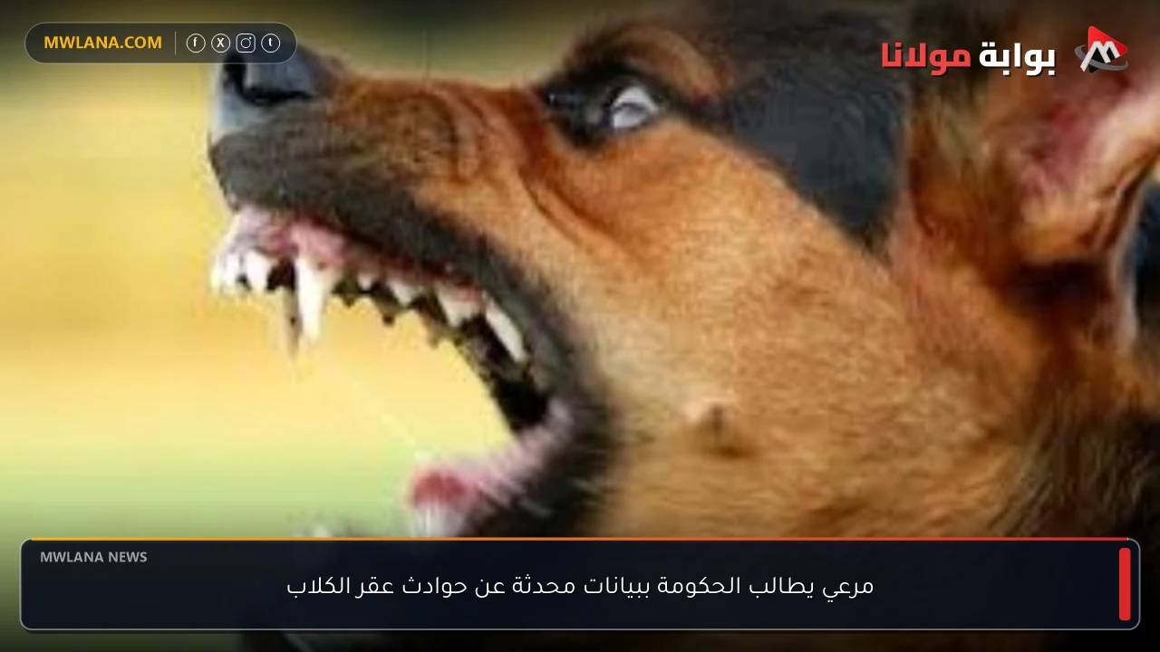 مرعي يطالب الحكومة ببيانات محدثة عن حوادث عقر الكلاب