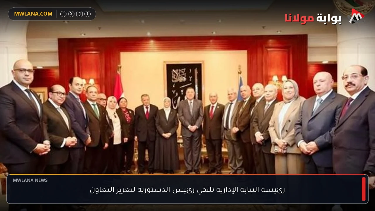رئيسة النيابة الإدارية تلتقي رئيس الدستورية لتعزيز التعاون