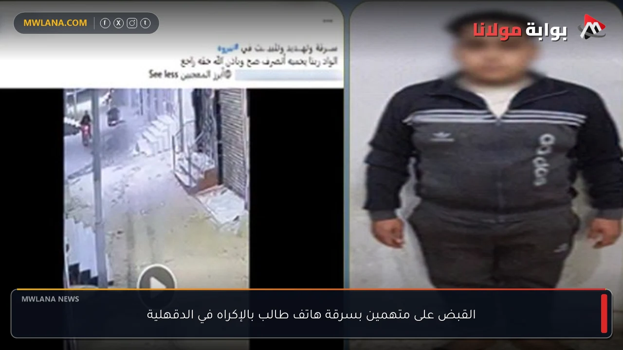 القبض على متهمين بسرقة هاتف طالب بالإكراه في الدقهلية