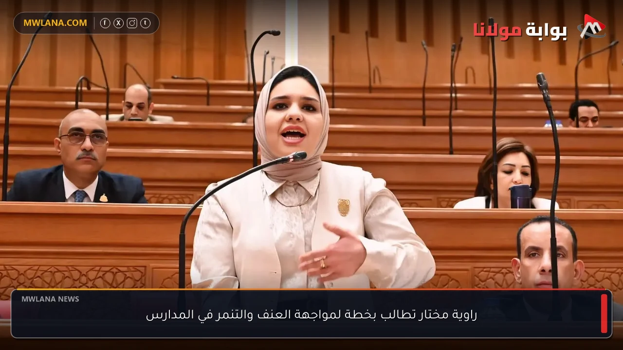 راوية مختار تطالب بخطة لمواجهة العنف والتنمر في المدارس