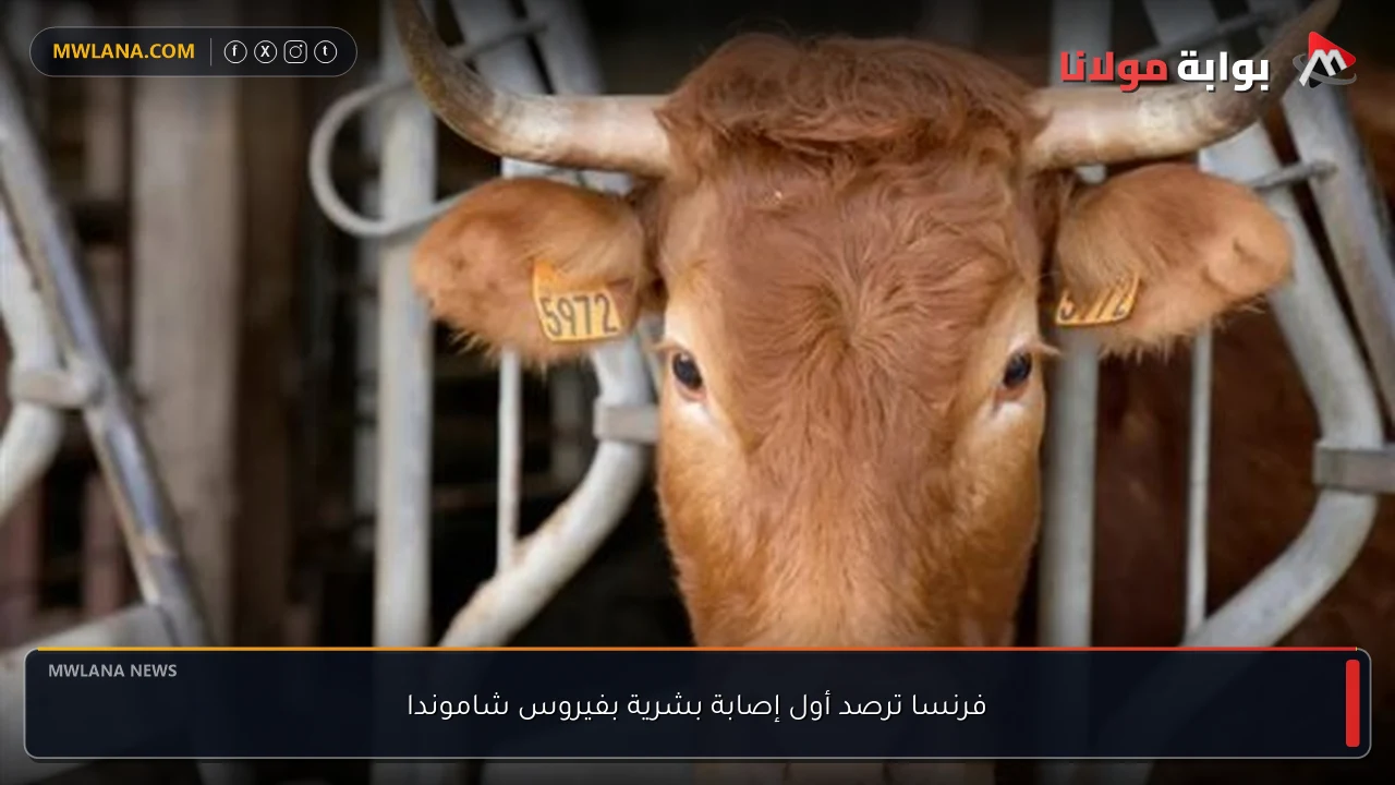 فرنسا ترصد أول إصابة بشرية بفيروس شاموندا