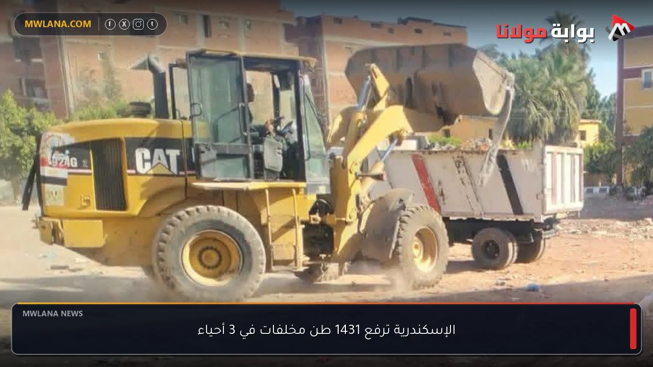الإسكندرية ترفع 1431 طن مخلفات في 3 أحياء