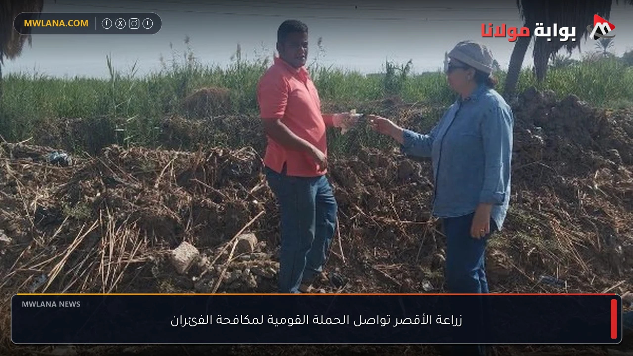 زراعة الأقصر تواصل الحملة القومية لمكافحة الفئران