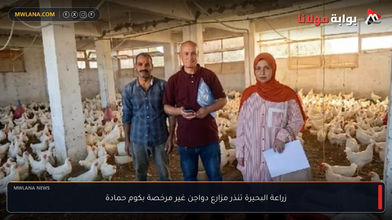 زراعة البحيرة تنذر مزارع دواجن غير مرخصة بكوم حمادة