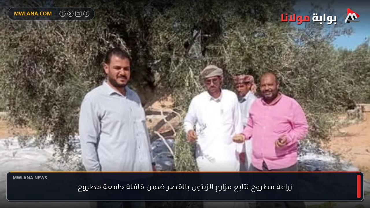 زراعة مطروح تتابع مزارع الزيتون بالقصر ضمن قافلة جامعة مطروح