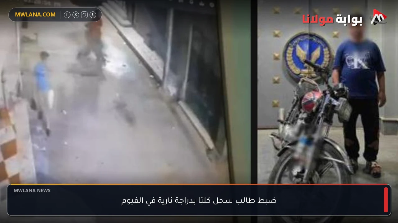 ضبط طالب سحل كلبًا بدراجة نارية في الفيوم